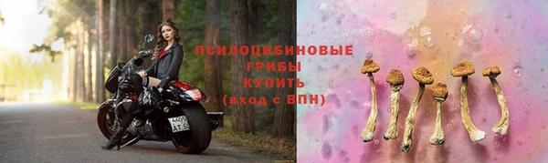 дмт Абинск
