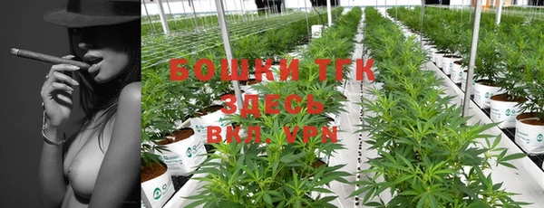 прущие грибы Киренск