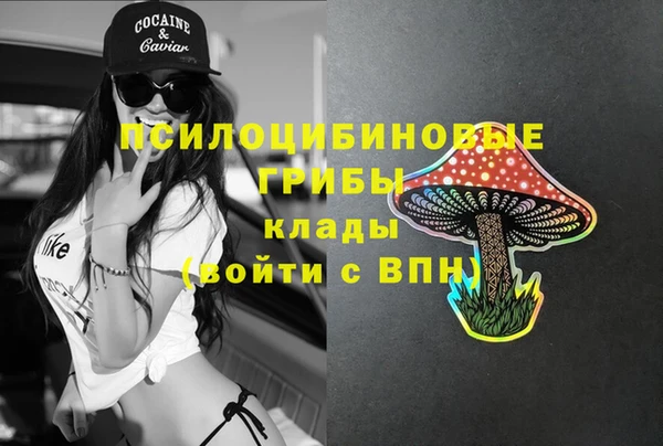 2c-b Абаза